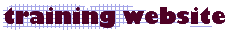 IntelliTraining Website